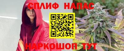 гашик Татарск